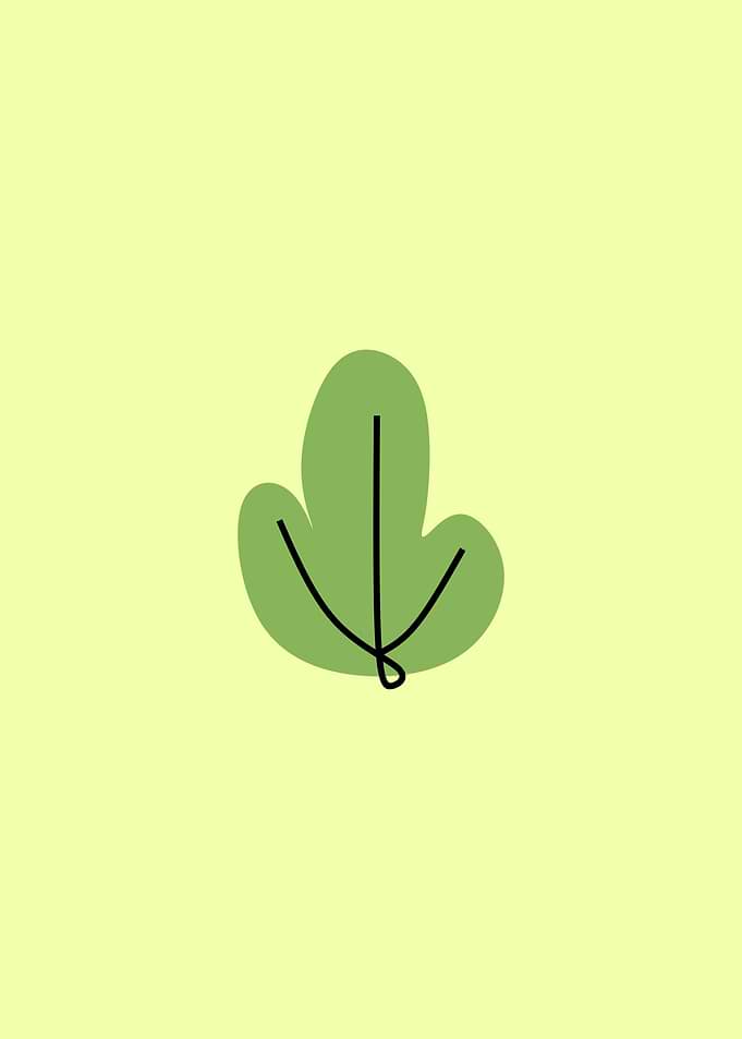 Vegetable