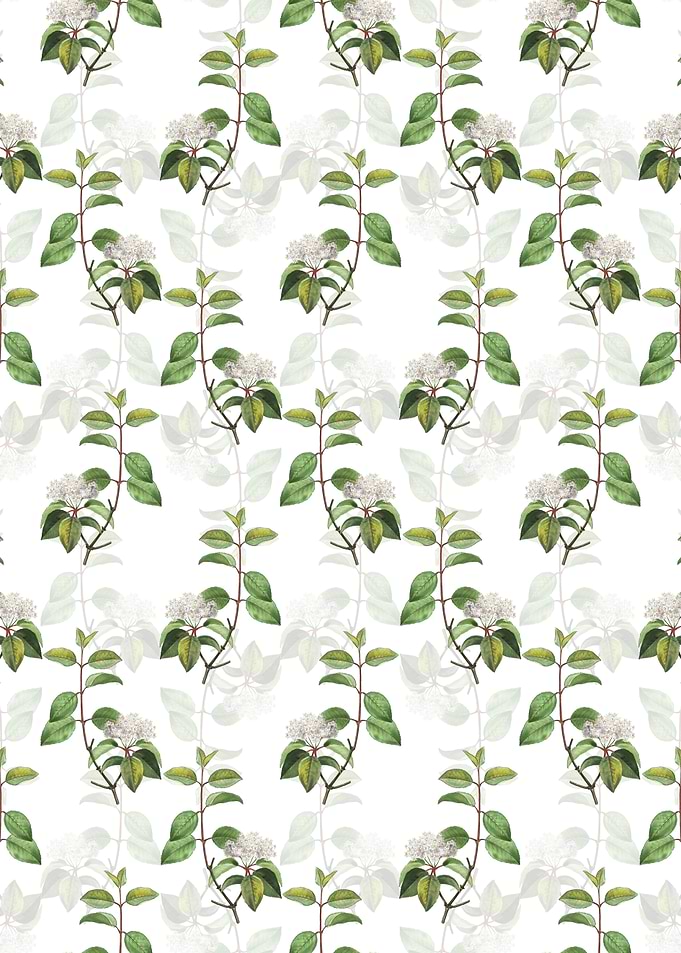 Floral Black Haw Pattern