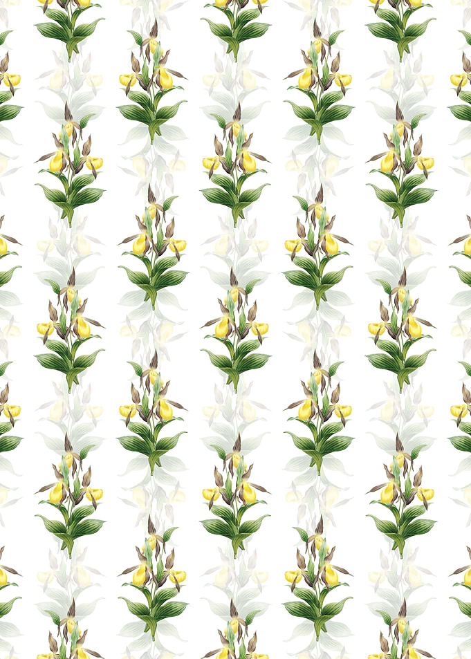 Sabot des Alpes Pattern