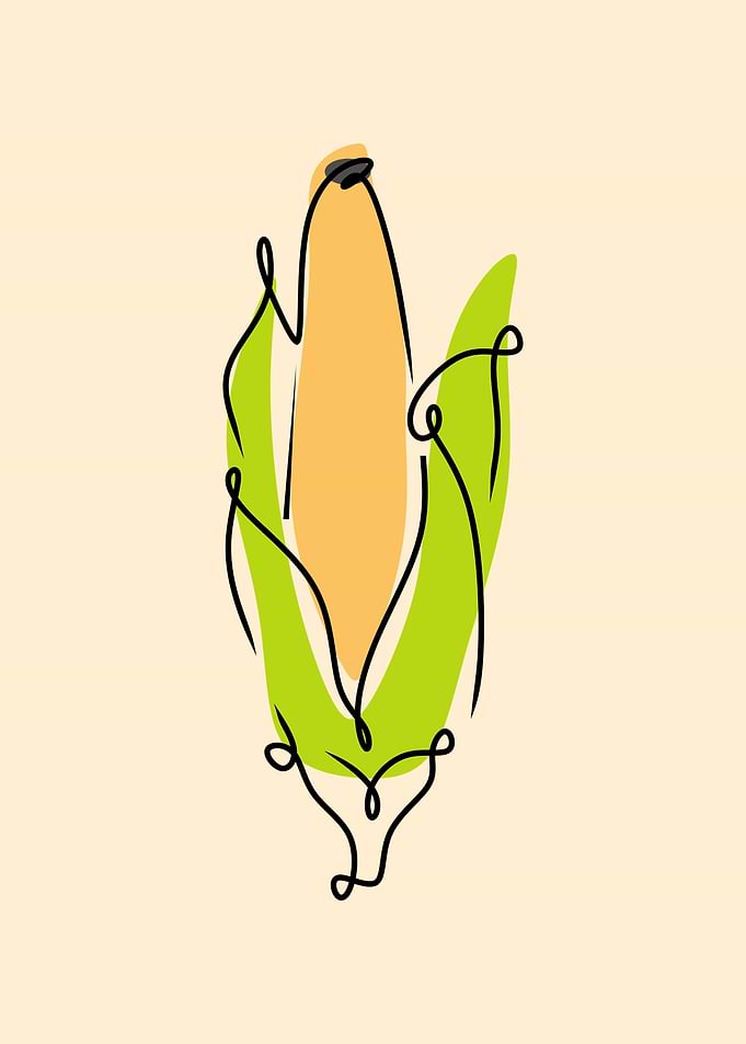 Vegetable
