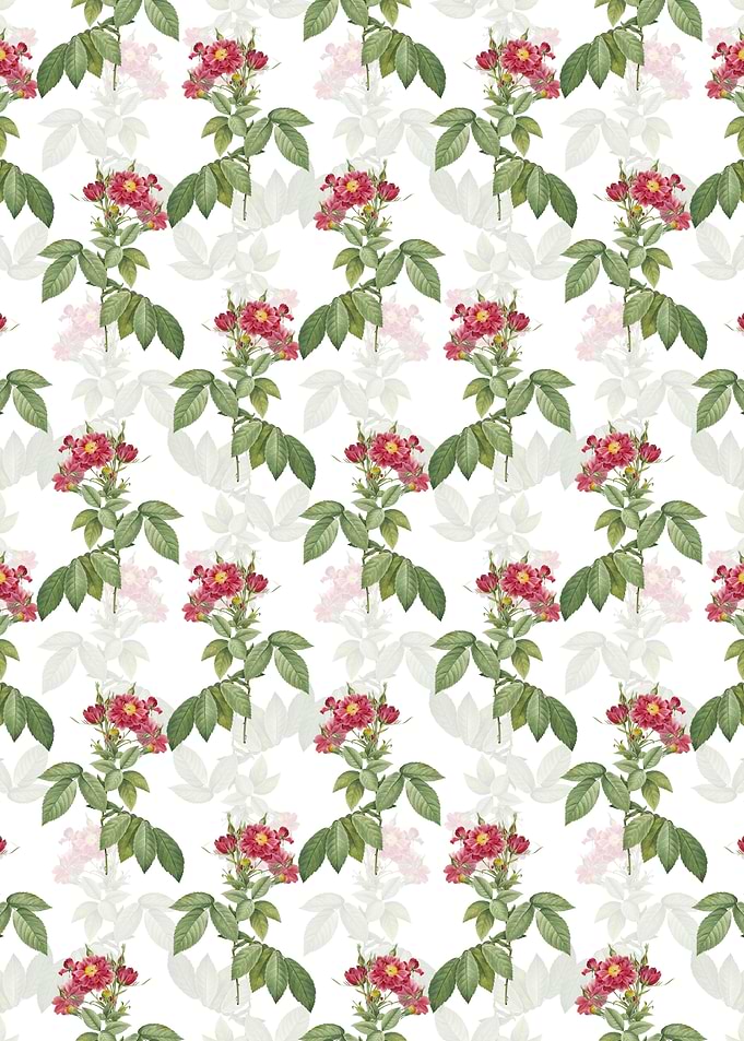 Boursault Rose Pattern