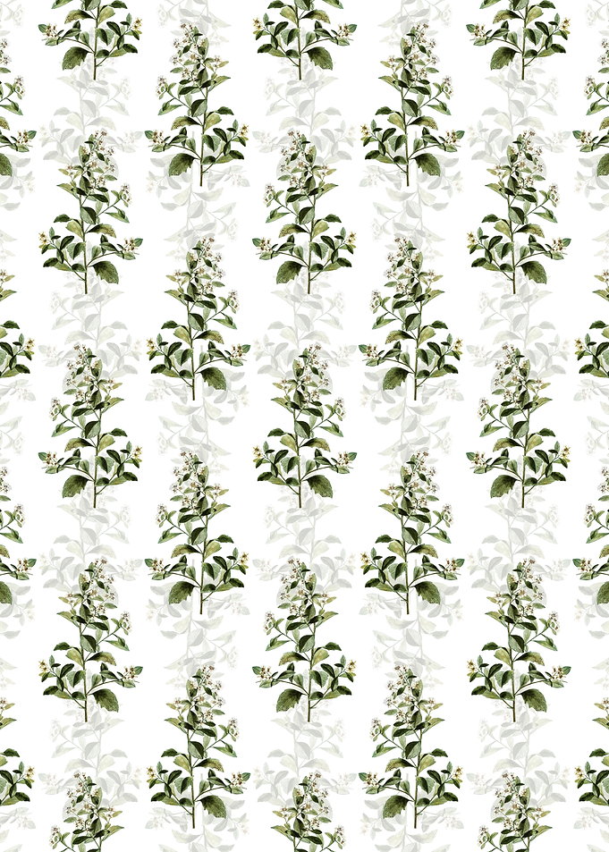 Eastern Baccharis Pattern