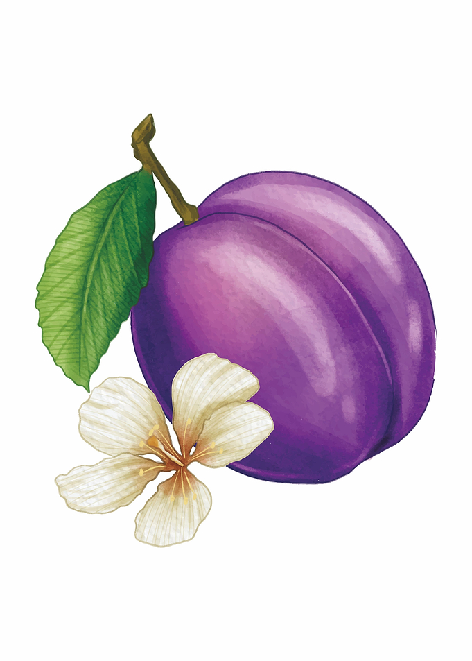 fruit