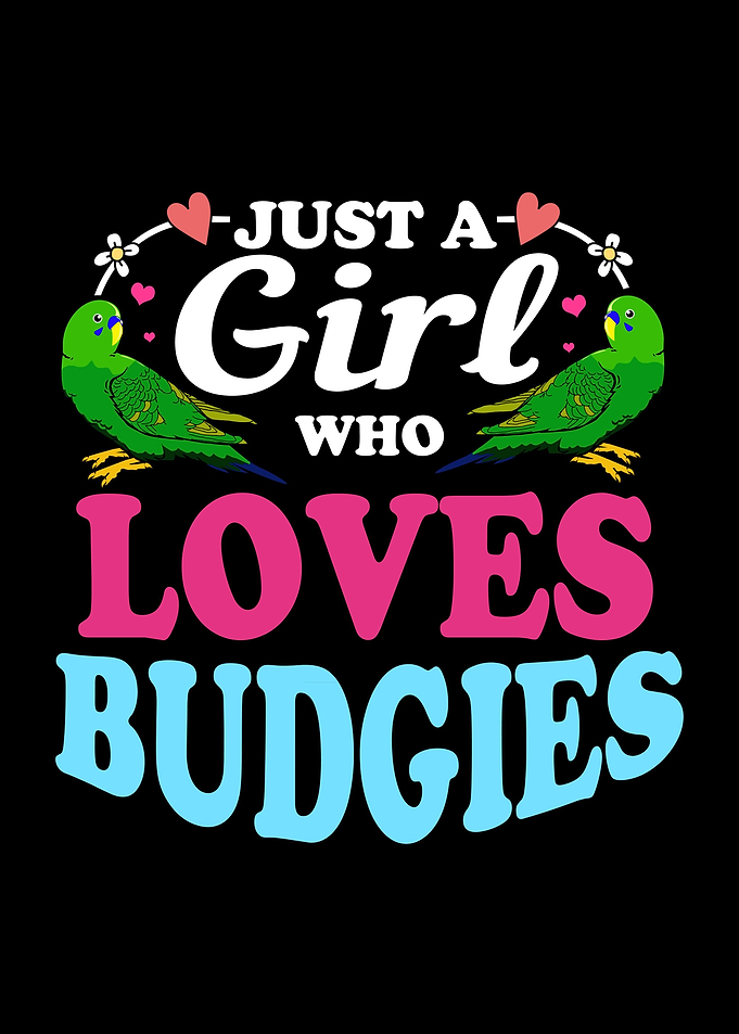 Budgie Cute Girl Owner