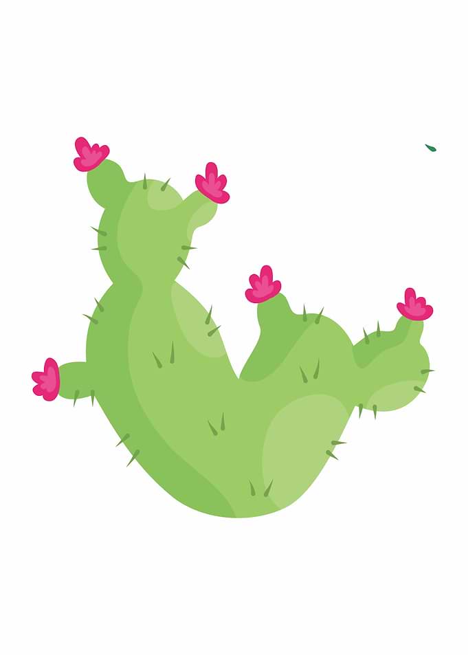 fruit