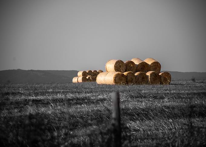 straw pyramids
