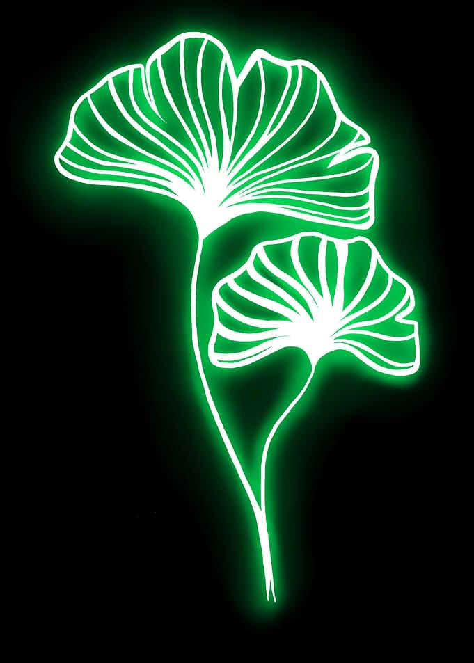 NEON Flower