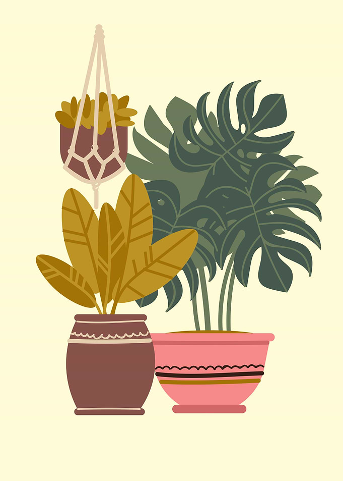 fruit