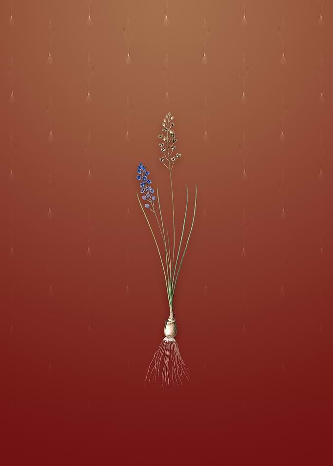 Vintage Autumn Squill
