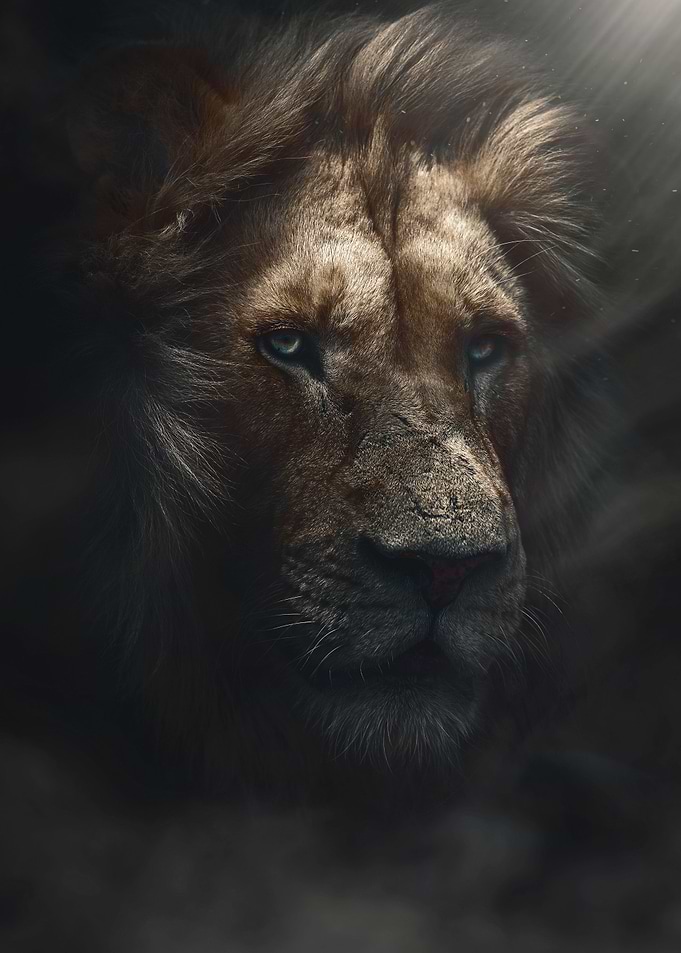 golden lion king art