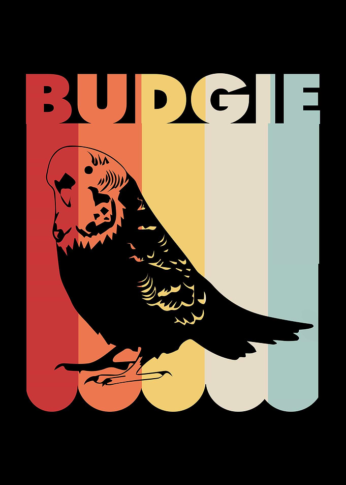Budgie Vintage Colorful