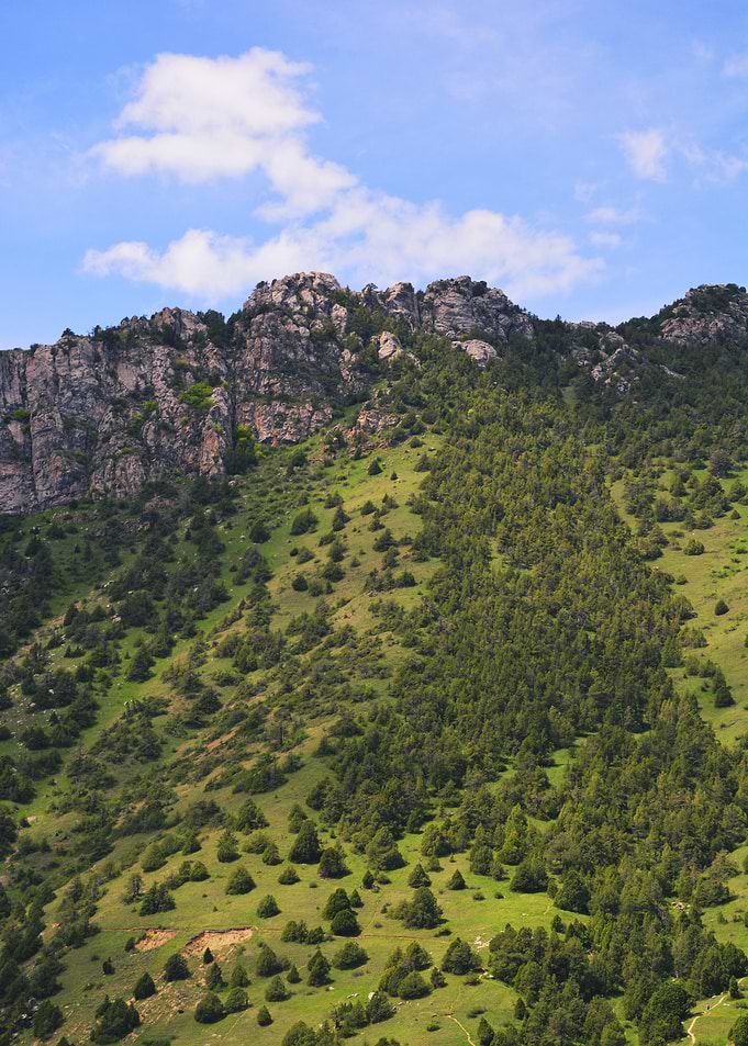 Zomin mountains spring