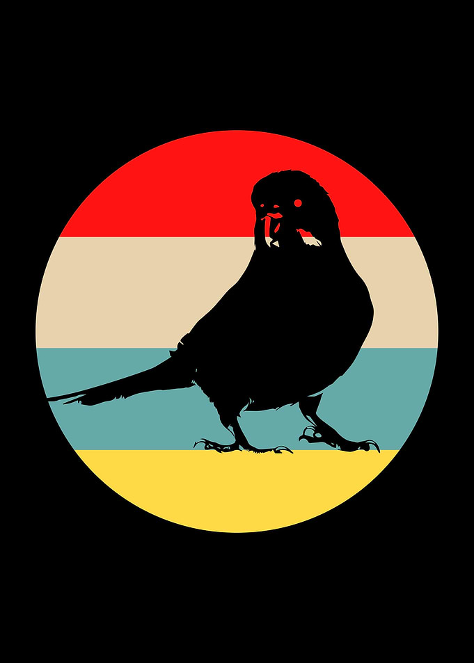 Budgie Retro Sunset Bird