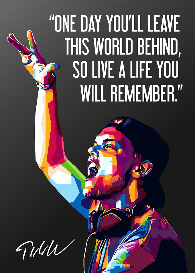 Avicii Quotes