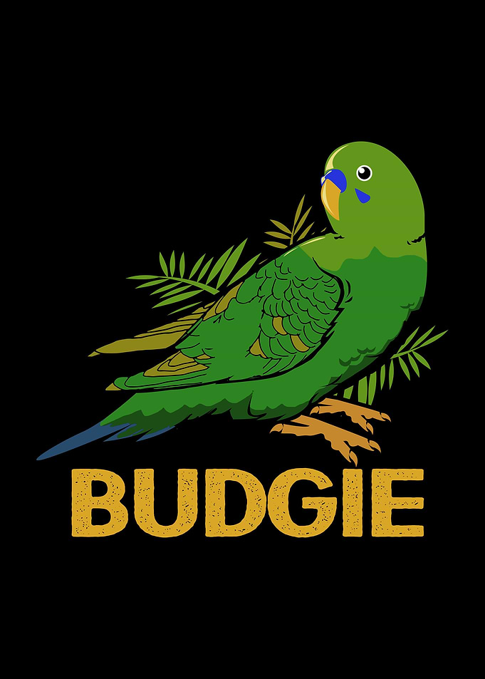 Budgie Green Parakeet