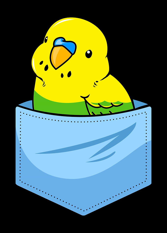 Budgie Cute Pocket Bird