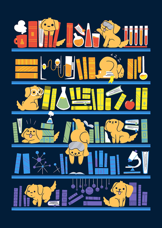 Chemistry LABrador