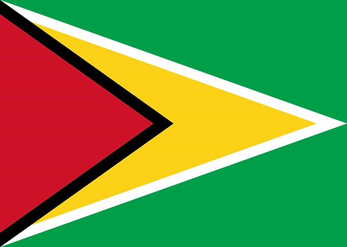 Guyana Flag
