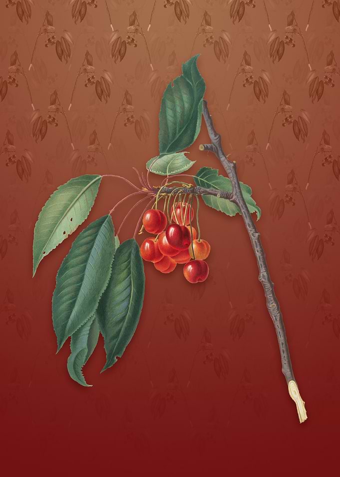 Vintage Cherry on Falu Red