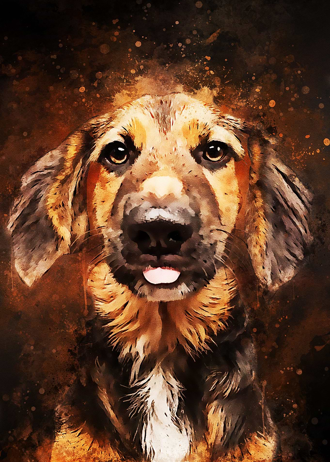 Dog Splatter