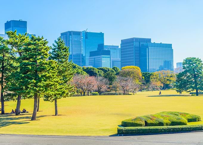 Tokyo Cityscape