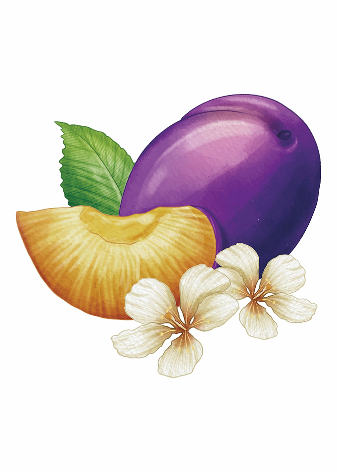 fruit