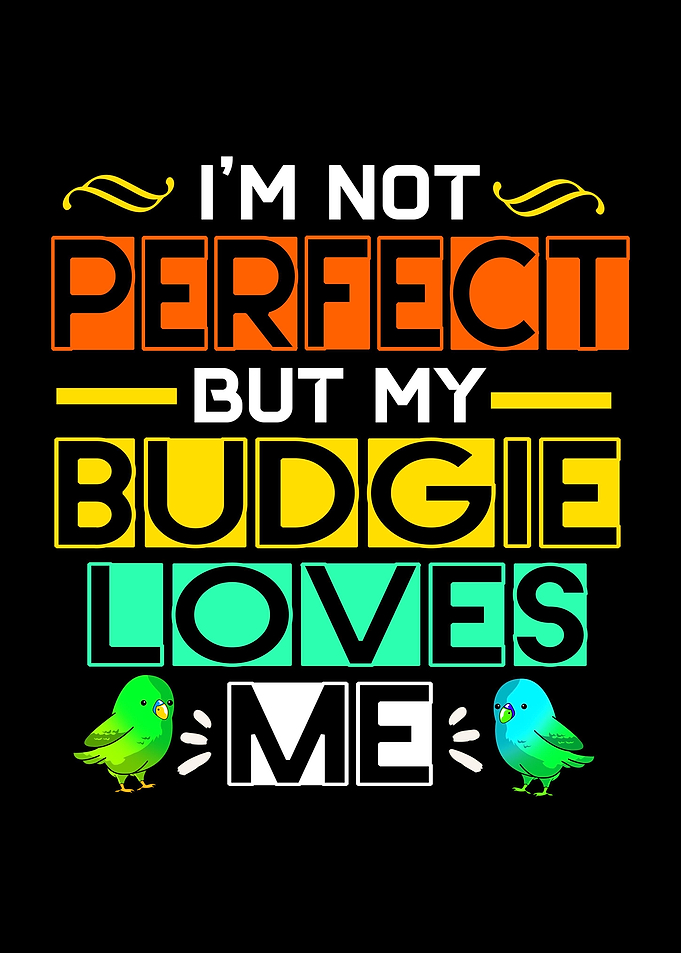 Budgie Loves Budgie Owner