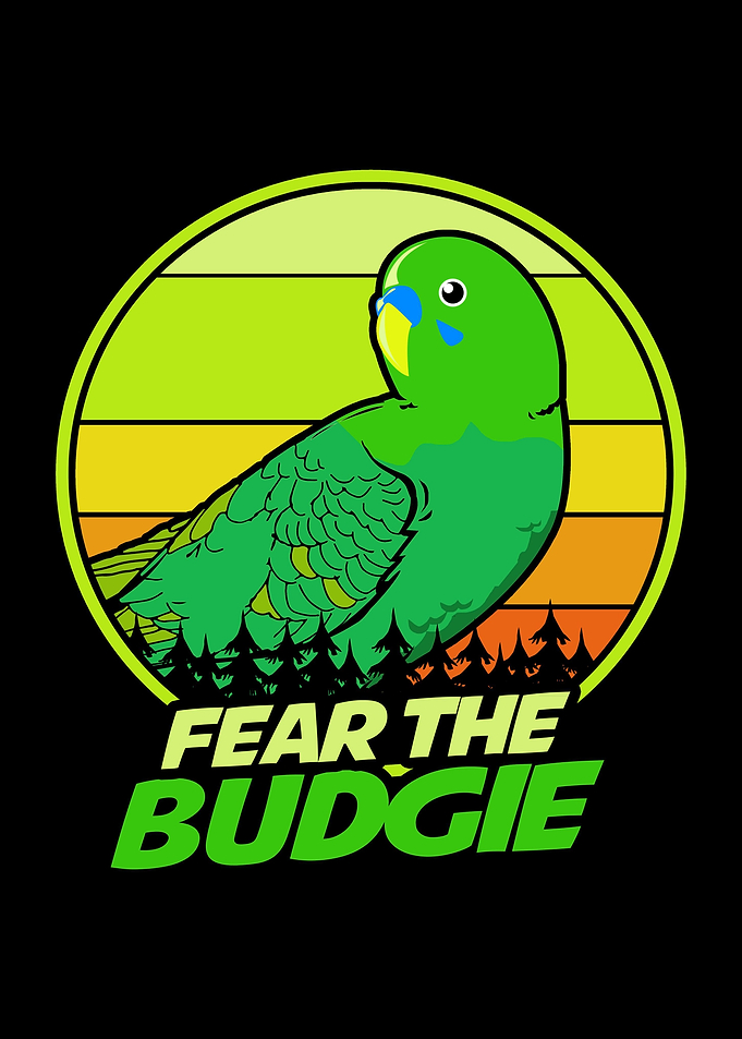 Budgie Fear Parakeet