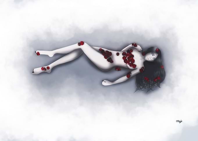 Rose Petals