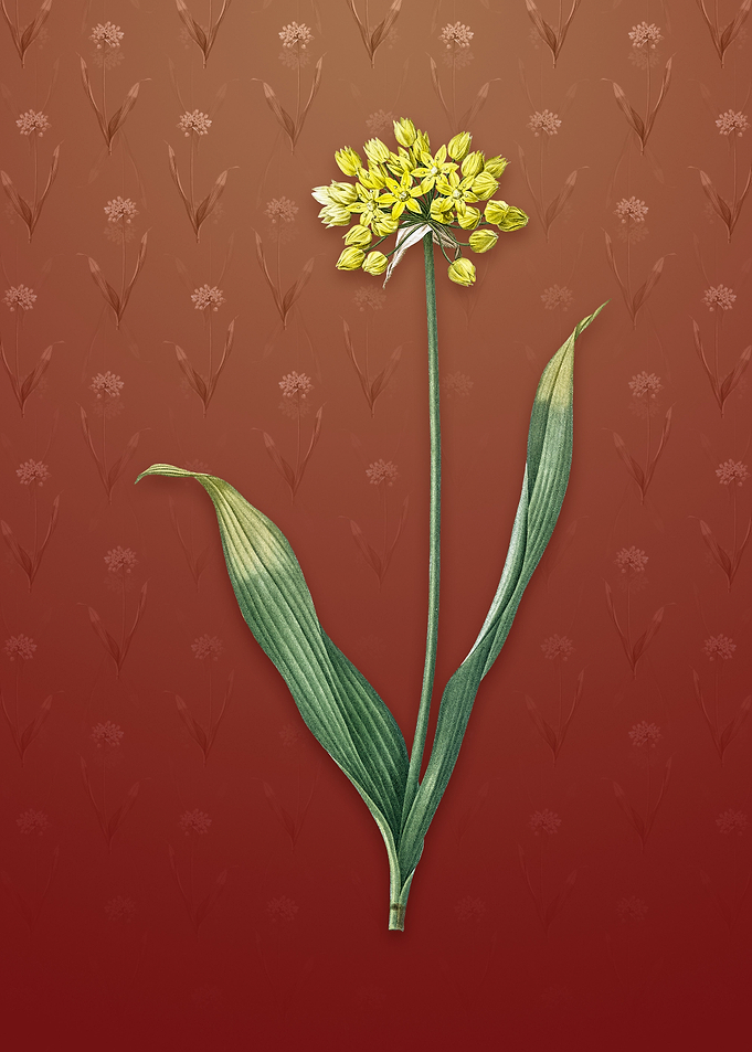 Vintage Golden Garlic