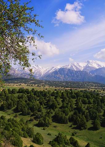Mountains