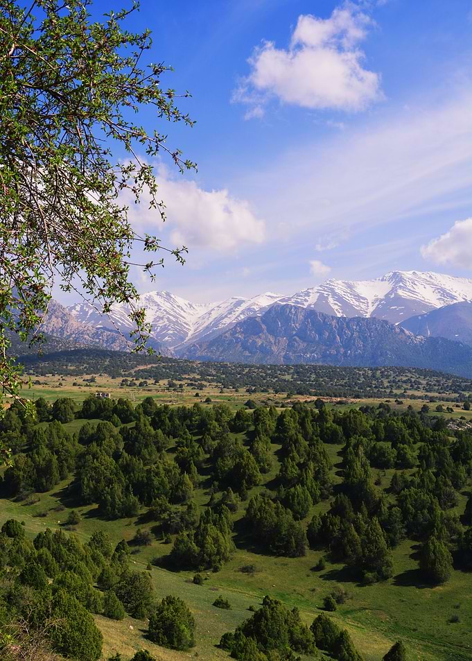 Mountains