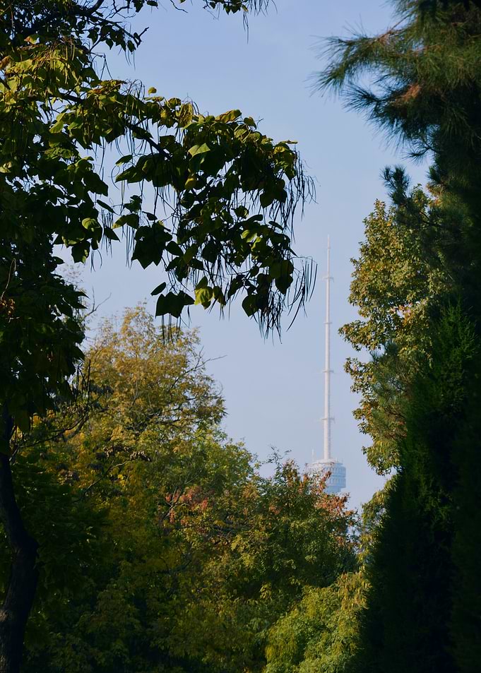 Green Tashkent