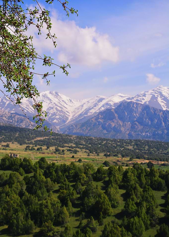 Zomin mountains