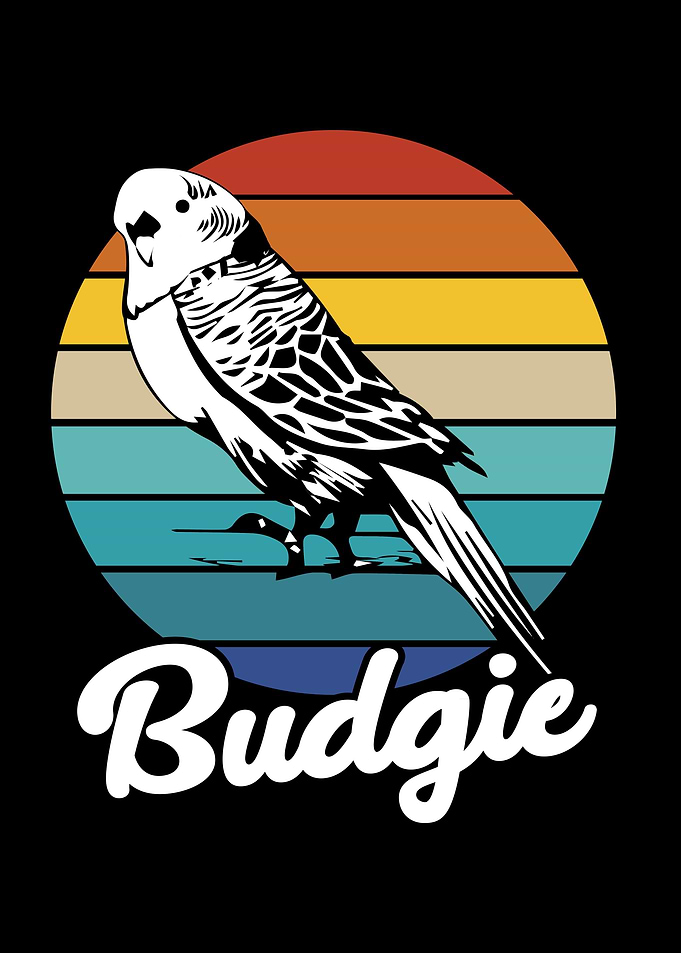 Budgie Retro Budgerigar