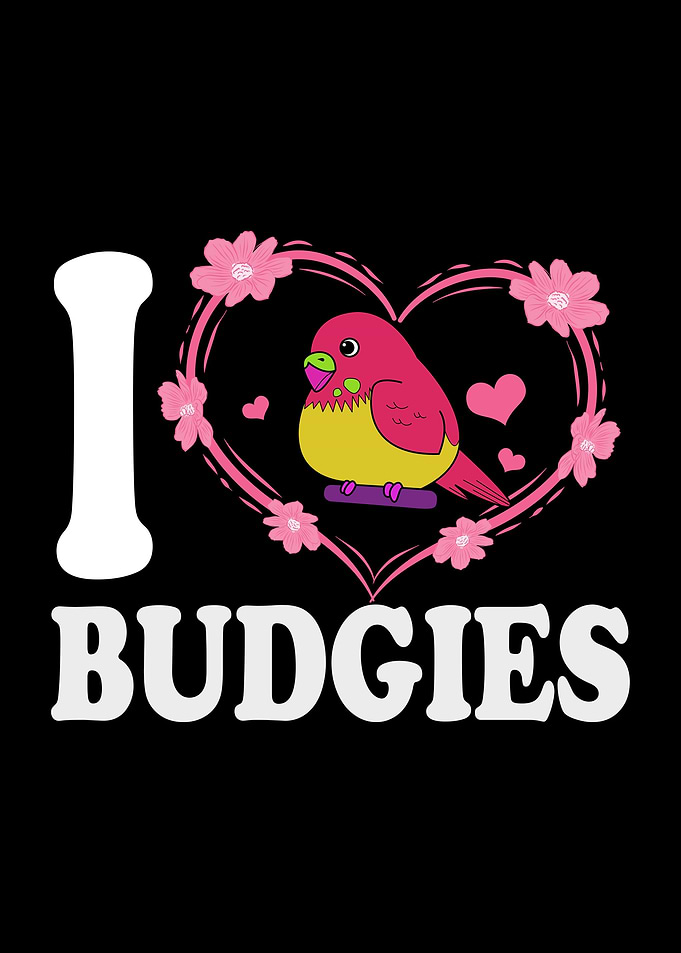 Budgie Love Budgies Owner