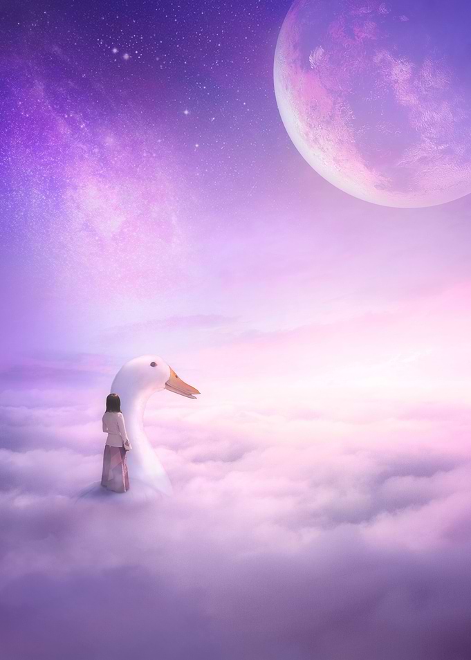Path of Freedom