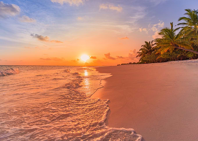 Beach Sunset