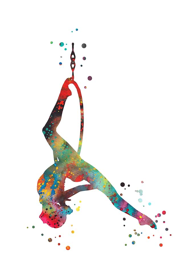 Aerial hoop lyra