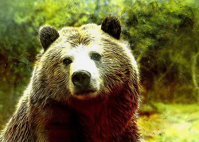 BEAR