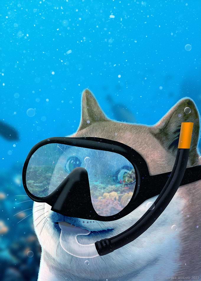 Snorkel Doge