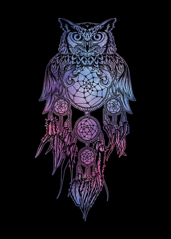 Owl Dreamcatcher