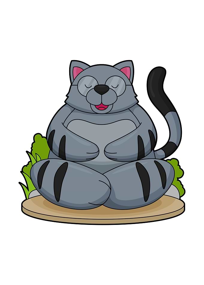 Cat Yoga Fitness