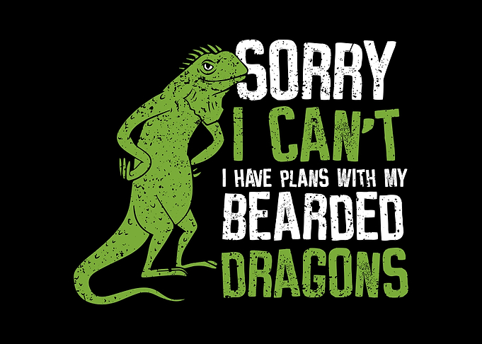 Bearded Dragon