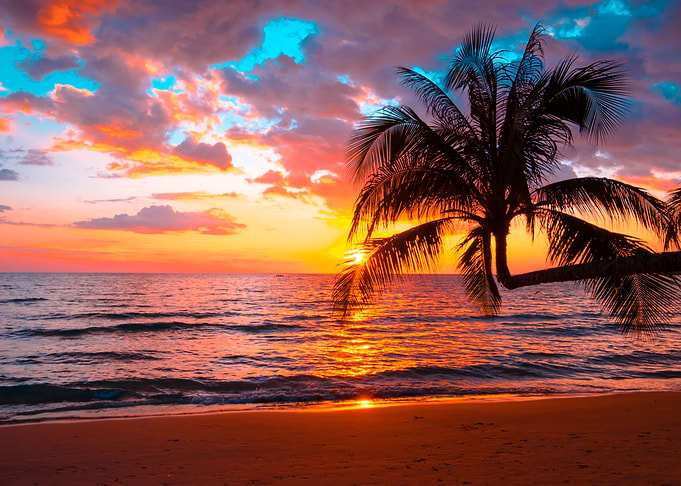 Beach Sunset