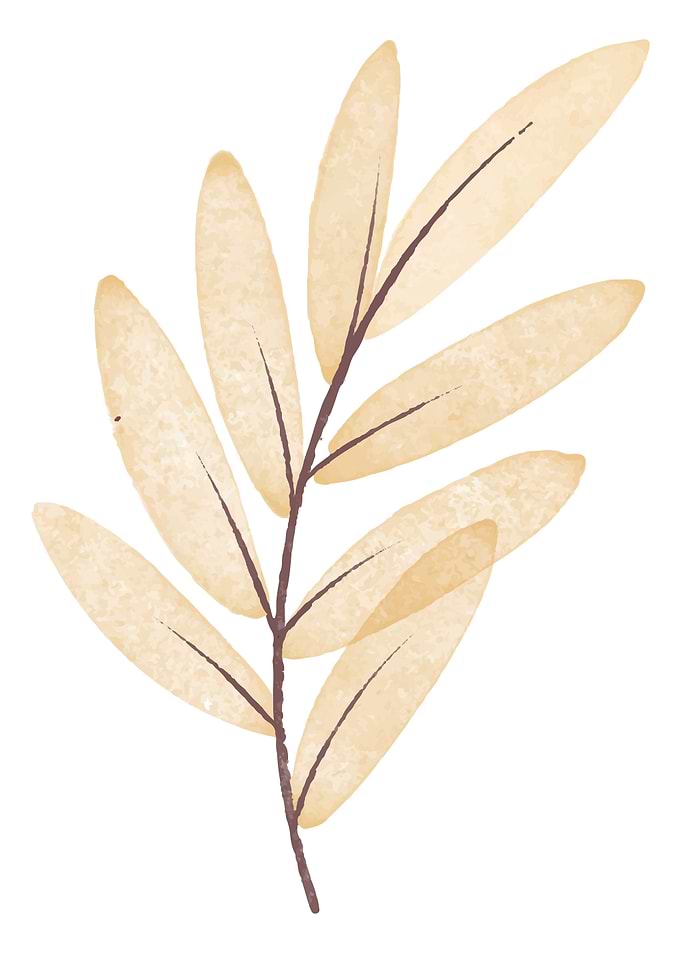 people