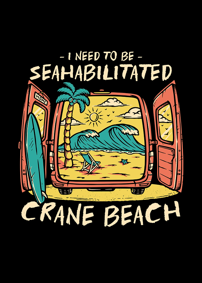 Crane Beach Summer Funny