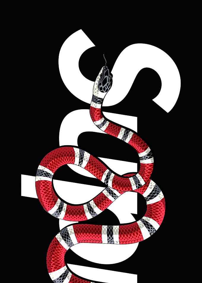 Sup x Snake
