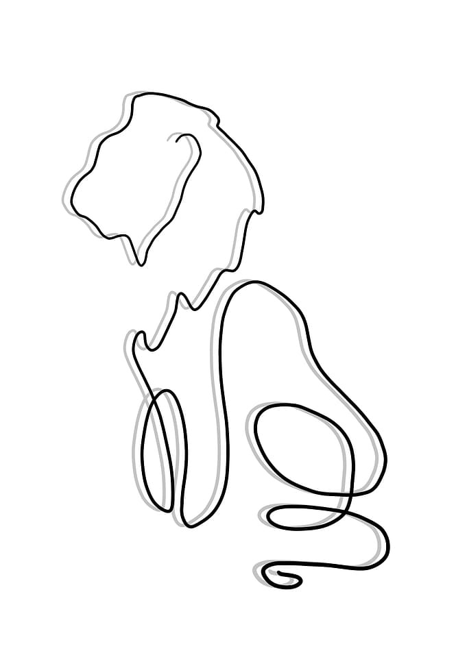Lion line art