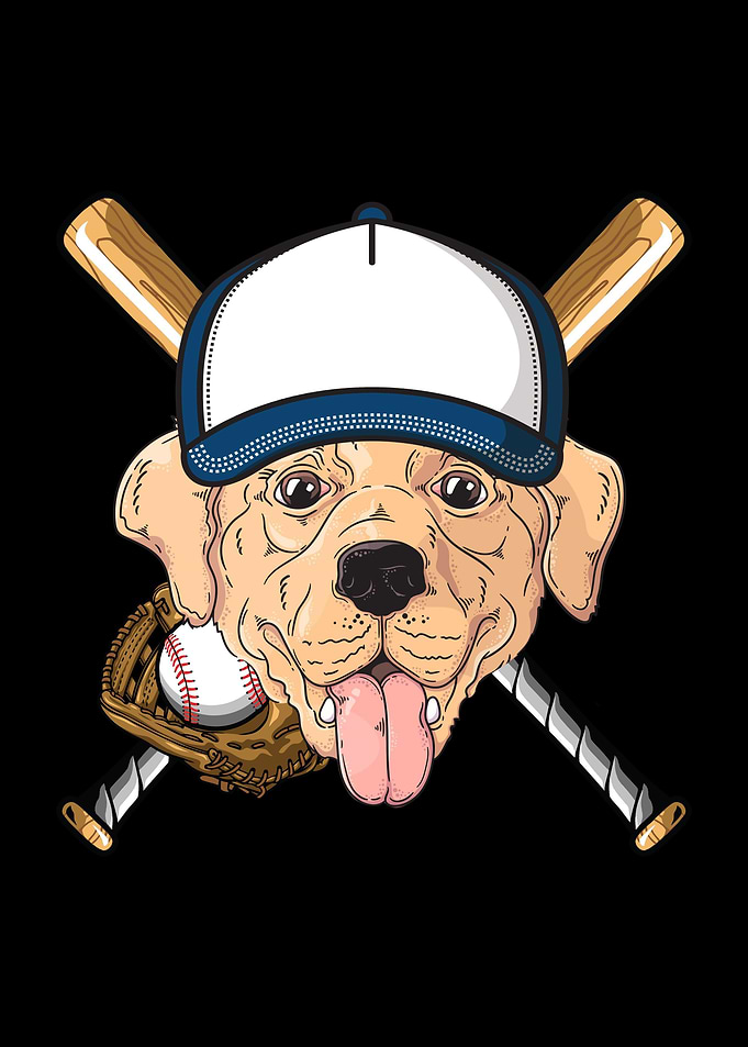 Labrador Baseball Dog